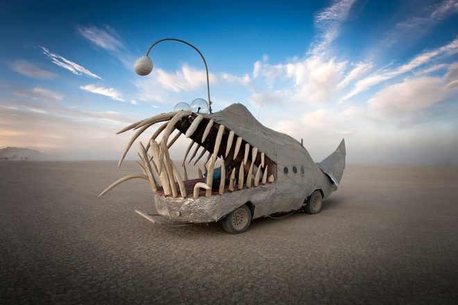 Local onde acontece o festival Burning Man sofre ataque de insetos