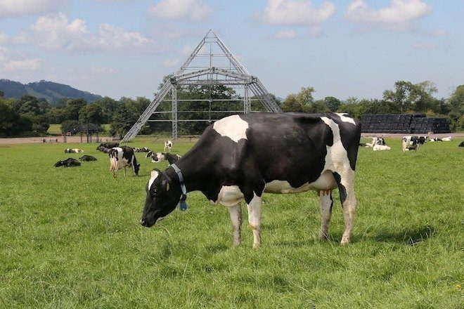 Organizadores Do Glastonbury Planejam Novo Festival Em Outra Locação